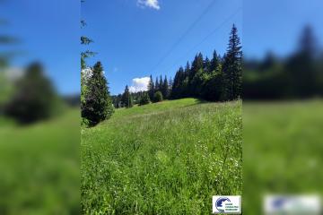 20220616_105700.jpg