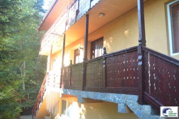 DSC_0075-Copie.JPG