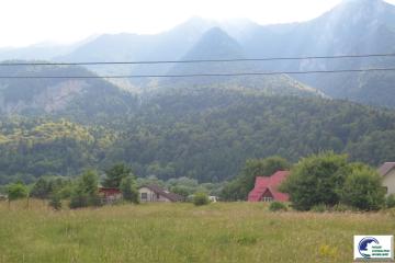DSC_1672.JPG