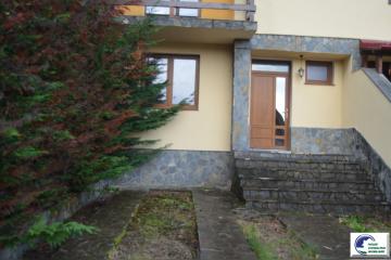 DSC_1910.JPG