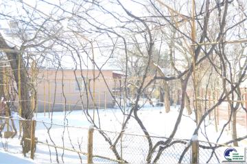 DSC_1991.JPG