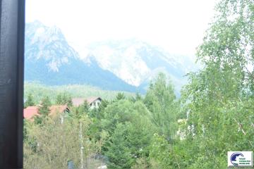 DSC_2650.JPG
