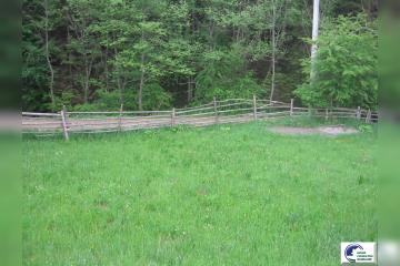 IMG_3551.JPG