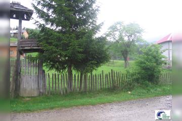 IMG_3562_2.JPG